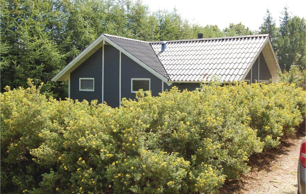 Pet Friendly Home In Oksbol With Wifi Oxbøl Exterior foto